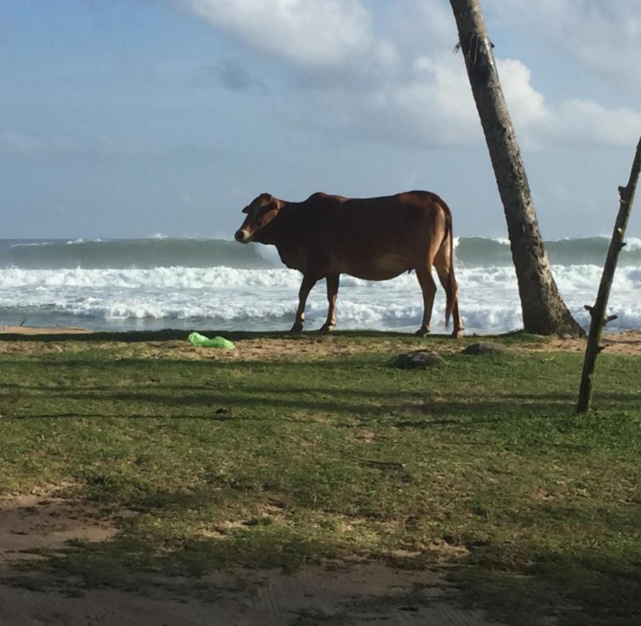 Sundance Surf Coconut Point Hotel เวลิกามา ภายนอก รูปภาพ